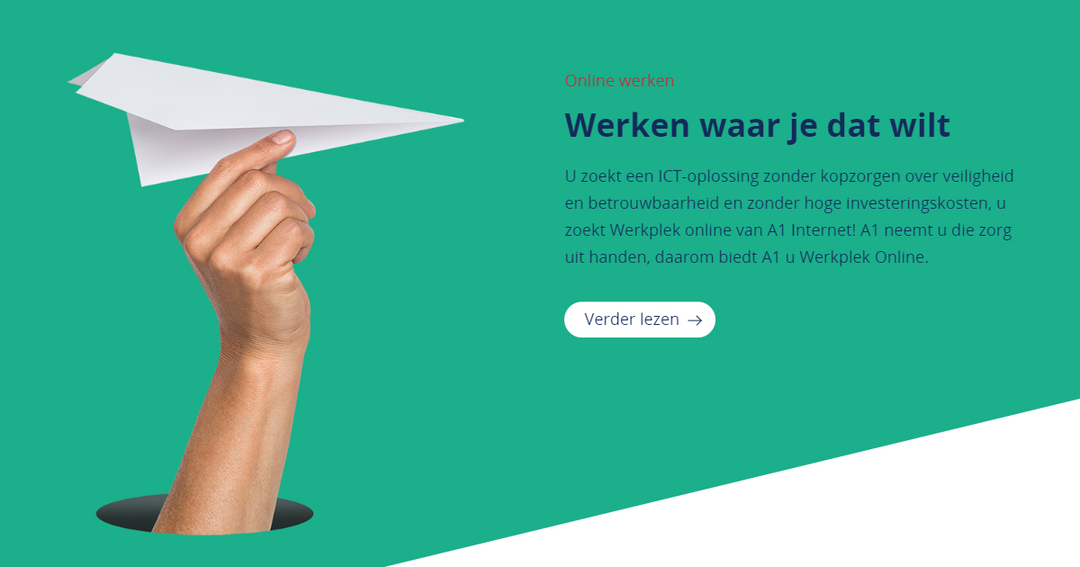 A1 internet